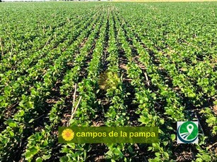 Córdoba - Venta Estancia Agrícola-ganadera - 4.900 Ha
