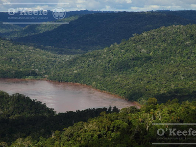 Grandes Extensiones De Bosque Nativo En Misiones - Bonos Verdes- Ideal Conservacionistas