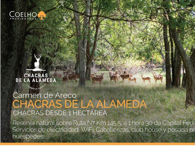 Terreno En Venta En Carmen De Areco - Chacras De La Alameda