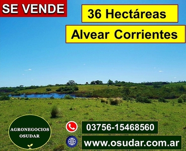 36 Hectáreas - Alvear Corrientes