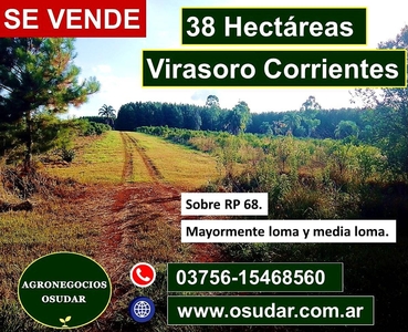 38 Hectáreas - Virasoro Corrientes