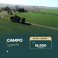 Campo En Venta En Suipacha. 60 Hectáreas + Gran Casco De Estancia