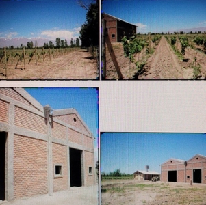 Campo en Venta en Mendoza