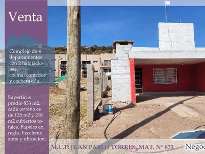 Departamento en Venta en Juana Koslay - Las Chacras - 2 dorm - 4 amb - 218 m2 - 833 m2 tot.