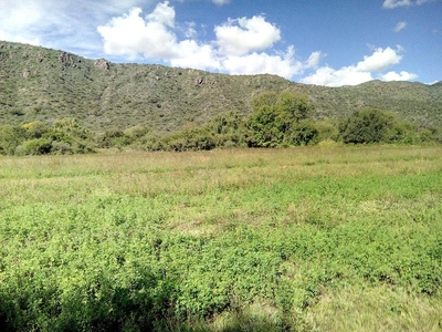 Campo 40 Hectáreas, al PIE de las Sierras Altas de San Luis