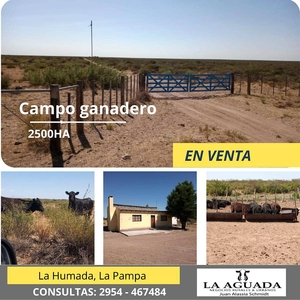 Campo Ganadero, la Humada la Pampa