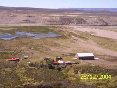 Campo Ganadero PRE - Cordillera
