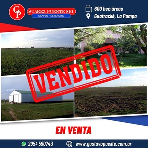 En Venta 600 Has Guatrache, la Pampa.-