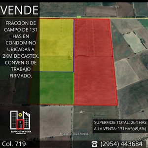Vendido 131 Has. en Condominio, Eduardo Castex, la Pampa