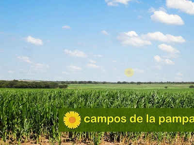 La Pampa Oportunidad Venta Estancia 8.500 Ha Calden-cultivo