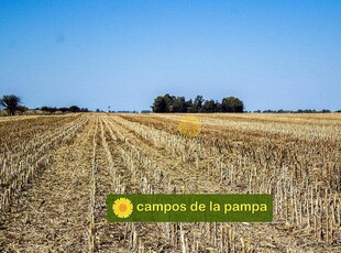 La Pampa - Venta 135 Ha D. Catriló - muy Buen Campo Agrícola