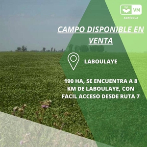 Campo Laboulaye 190 HA, 100% Agricola, Suelo Clase 3-4,