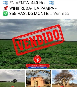 En Venta 440 Has, Winifreda la Pampa.-