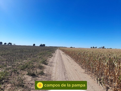 La Pampa - Venta 820 Ha Agricolas - 4,5 % Renta - Financiado