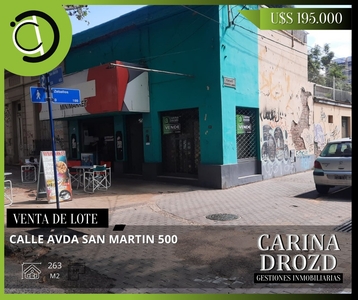 Venta de Lote en calle Avda San Martin 500-Ciudad