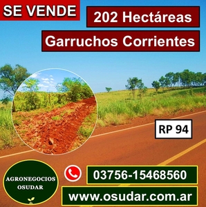 202 Hectáreas Garruchos Corrientes