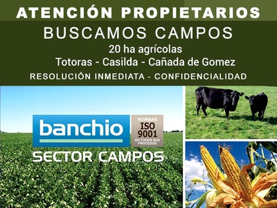 Compro Campos y Estancias Agricolas Pcia de STA FE y CBA