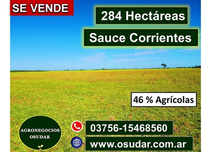 284 Hectáreas - Sauce Corrientes