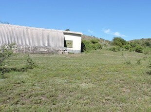 Campo en Venta en San Luis - Pampa De Tamboreo